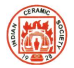 Indian Ceramic Society Logo